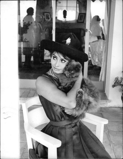 Sophia Lorenvintage-erotica-forum.com