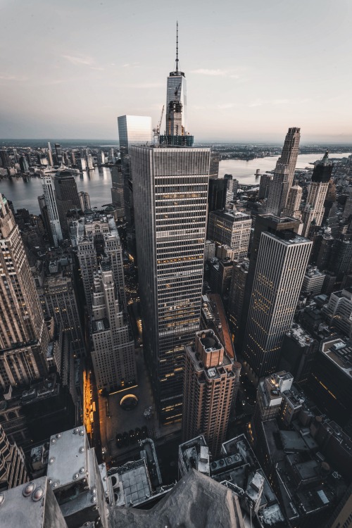 abandoned-nyc:  Reaching  www.instagram.com/_mynamesjefff/