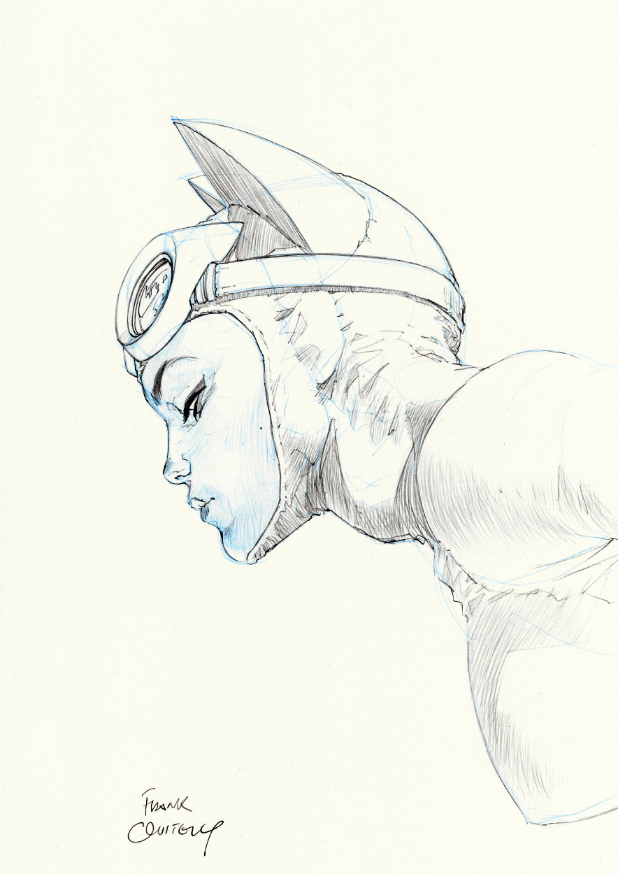 spaceshiprocket:  Catwoman by Frank Quitely 
