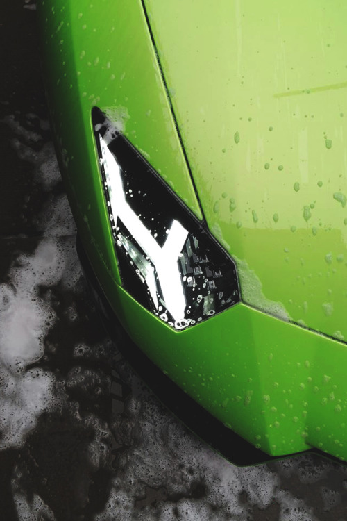 Sex artoftheautomobile:  Lamborghini Aventador pictures