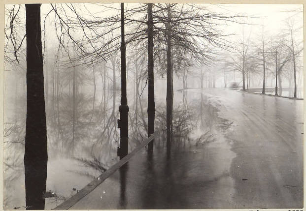A flood hit parts of New York in February of 1936, leaving spots in and around the Garden partially submerged. I pass over this photograph in the LuEsther T. Mertz Library archive every so often. I can’t get over the otherworldly drift of it—how the...