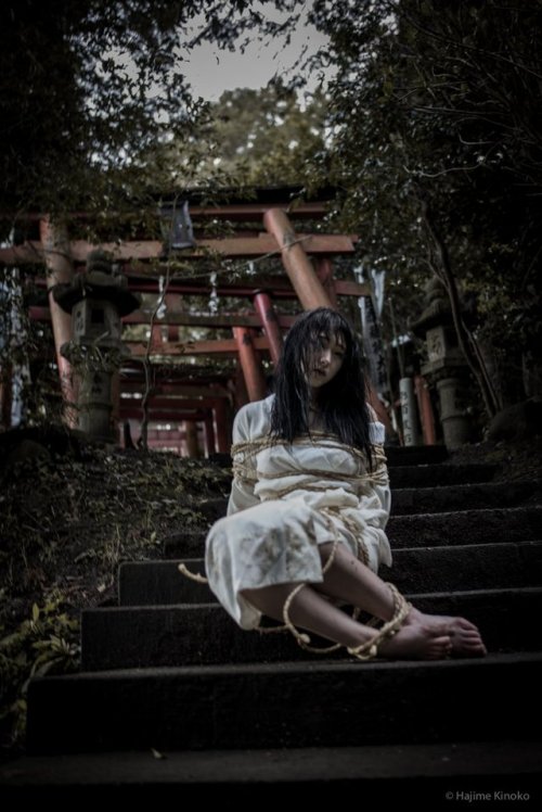 mai8chan:  Shibari &amp; Photo Kinoko HajimeModel Aristasy
