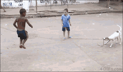 4gifs:  Jump Rope Terrier. [video]