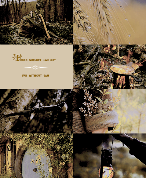 leroichevalier: → Fellowship of the ring: The hobbits. Frodo Baggins Samwise Gamgee Meriadoc Br