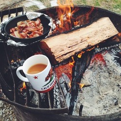 h-o-r-n-g-r-y:  There’s nothing better like bacon and coffee making in the woods. 