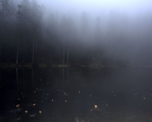  Jérôme Sessini, The Lake, Vosges, Eastern France, 2016