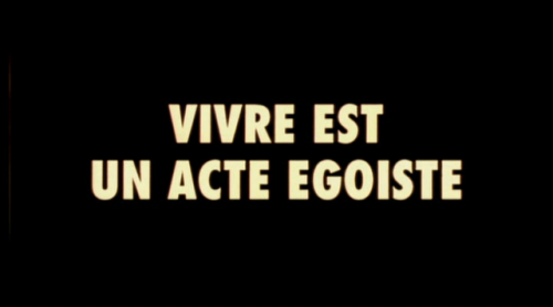 Seul Contre Tous (Gaspar No)