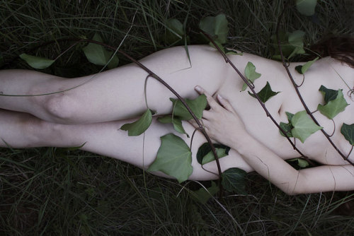 deerpao:  Nature morte on Flickr. 