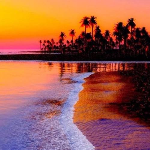 tigrswimwear:  Ombré sunset #hawaii #goodnight #WhatsyourL by tigrswimwear.com ift.tt/1NXus5s