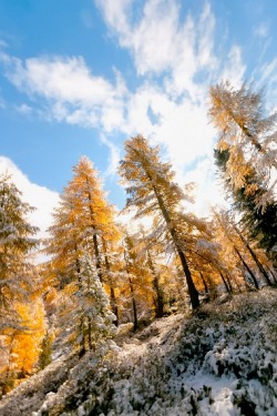 sublim-ature:  Lagorai, ItalyAntonio Riva