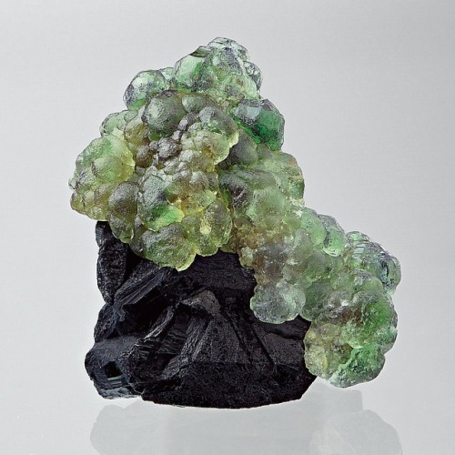 vugnasmineralblog:Fluorite On Tourmaline Var SchorlDavib East Farm, Karibib District, Erongo Region,