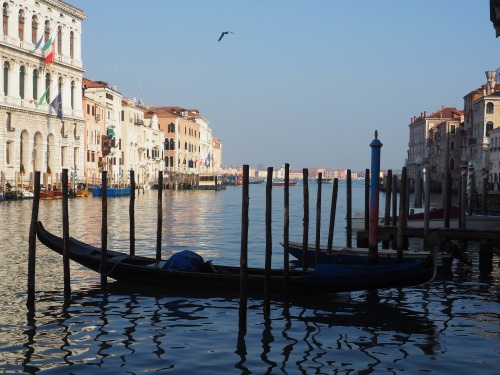 Venice is a stage set.February 2022