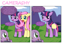 madame-fluttershy:  Camerashy by ~Solar-Slash  D'awww &gt;w&lt;