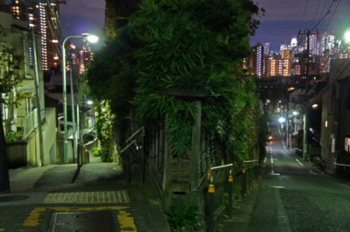 夜散歩のススメ 
