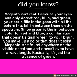 navyhuskie: did-you-kno:  did-you-kno:      Magenta isn’t found anywhere on the visible color spectrum.     It doesn’t even have a wavelength.     I’m serious.       I know it’s hard to believe, but it’s time to stop lying to yourself.    