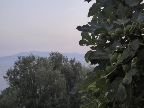 mesogeios:Evening sky on the Makarska Riviera: the sea’s mirror—the older twin. A timid wind rustles