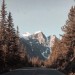 silverbeardmtnman:sinbad2021:Fresh coffee, new playlist … and a full tank. Split