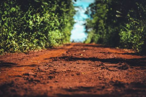 Dry land. Esta tierra cambia mucho dependiendo del clima, en esta foto esta bastante seca, ya que h