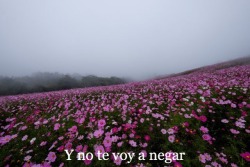 wonderinboutlove:  No te encuentro en nadie,