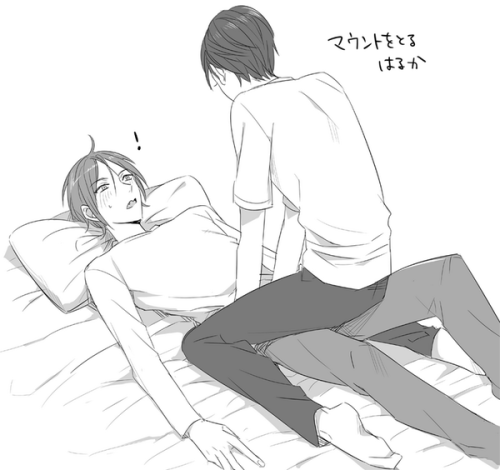 yol-sync14-sasgrari:  Art by ほいこ        
