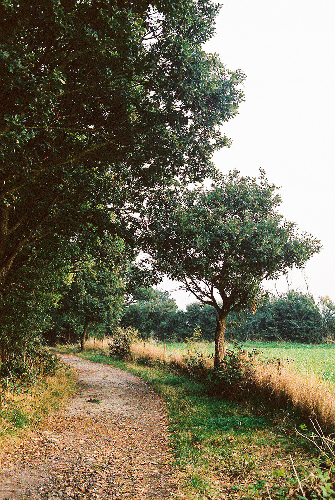 aphelia:  Round the Roman Road (by shoeymcmooey) 