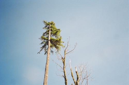 millions-of-colors:  [untitled] /// heather boyd