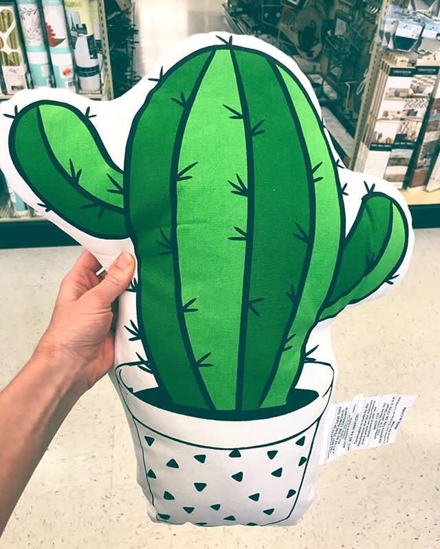 artisticlog:  The cutest cactus pillow 🌵✨