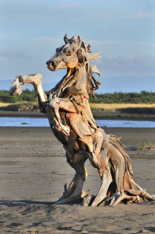 paxtonfearless:  Driftwood Art by ZackDowney 