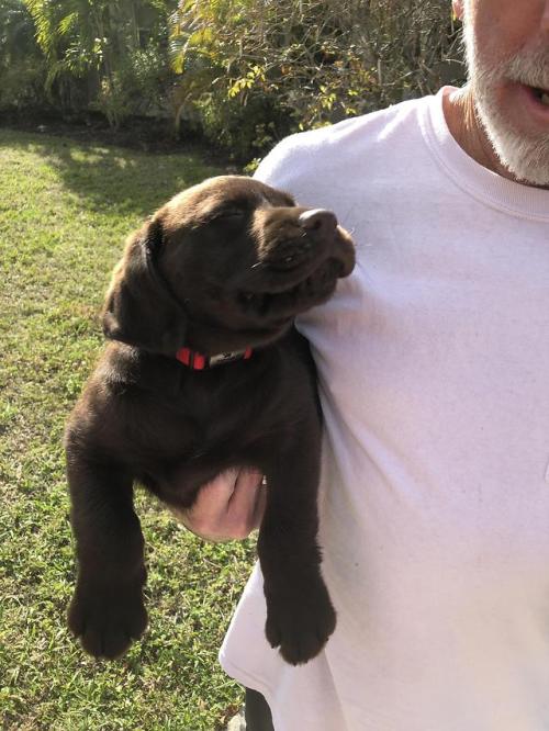 Boyfriend’s dad’s new boy, he loves the sun