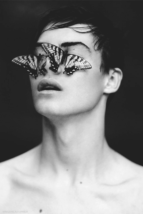 avidadeumagorda.tumblr.com/post/77534959340/