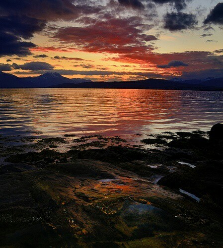 orchidaaorchid: Tromso, Norway by John A. Hemmingsen