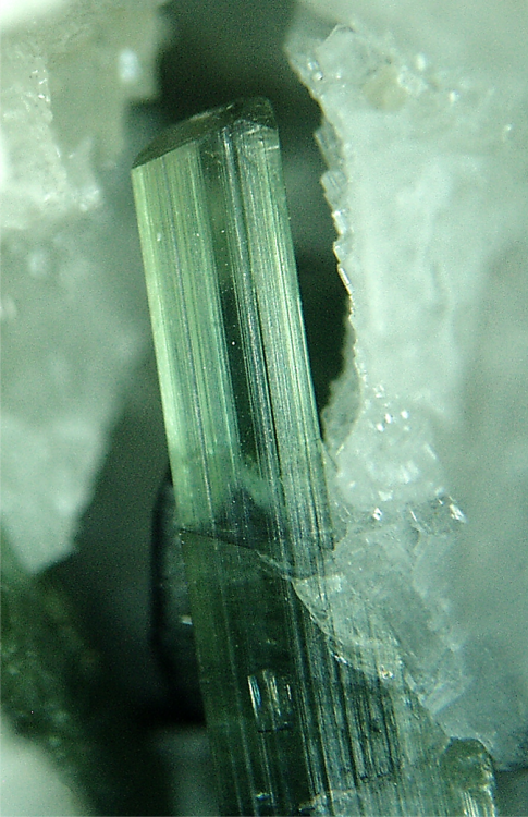 rockon-ro: GREEN  TOURMALINE crystal from Brazil. 