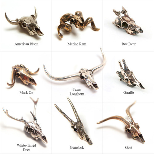 HORNS & ANTLERS SALE!Back by popular demand! All skulls with Horns or Antlers are on sale for ju