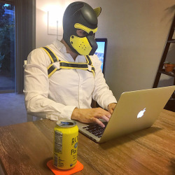 pupgigix: pupripple: When you work from home so technically you get paid to be a pup 💛  Ruff! I want to apply lol 
