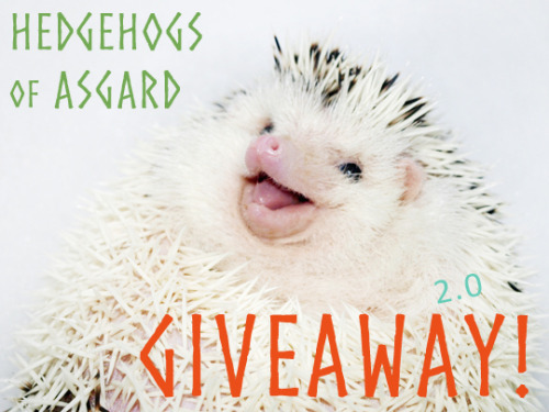 hedgehogsofasgard: It’s finally GIVEAWAY TIME again! This giveaway is being held to celebrate 