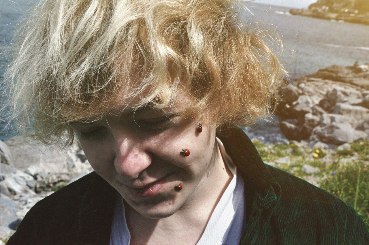 coltre:  I was assaulted by ladybugs