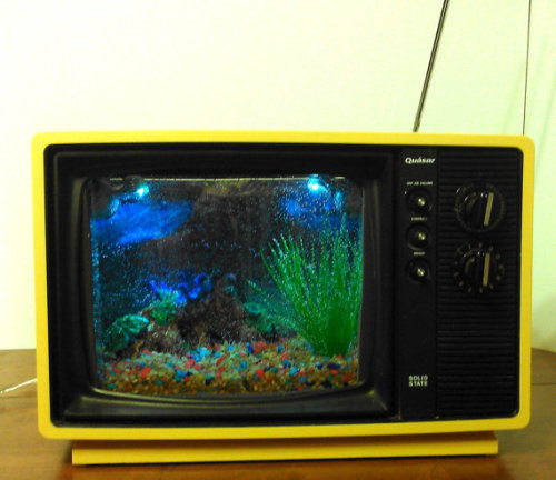 etsyifyourenasty:  Television Aquarium 