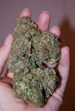 royallyoily:  11.6 gram nug of Blackberry Kush