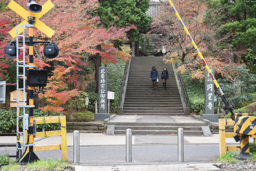 北鎌倉・円覚寺 | Engakuji Temple・Kita-Kamakura by Iyhon Chiu on Flickr.
