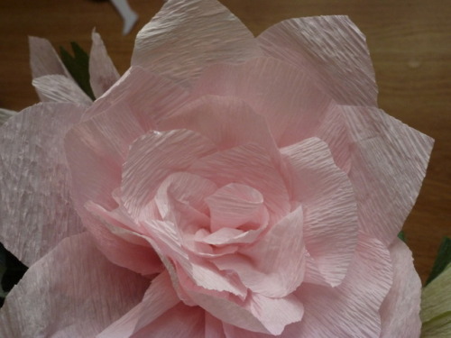 Crate paper flowers