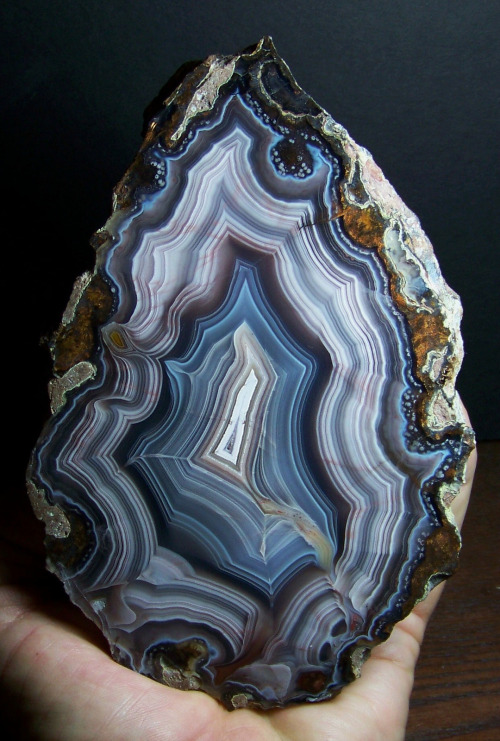 unearthedgemstones: ifuckingloveminerals: Agate Ojo Laguna, Chihuahua, Mexico Absolutely beautiful!