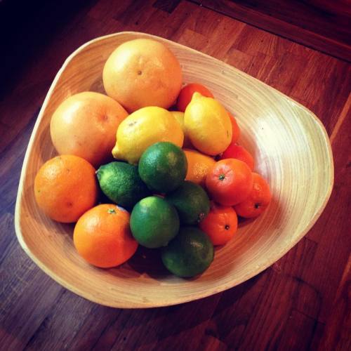 An embarrassment of #citrus. Taking suggestions
