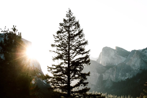 comfortably-lobotomized:  clara-jo:  Yosemite adult photos