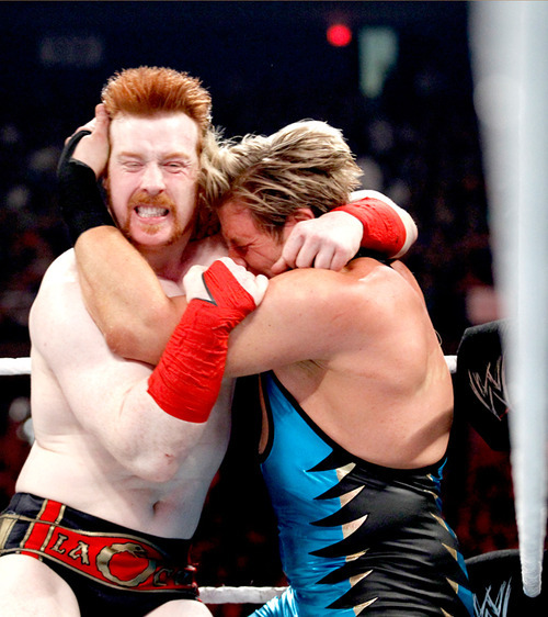 the-celtic-warrior-sheamus:   my ovaries porn pictures