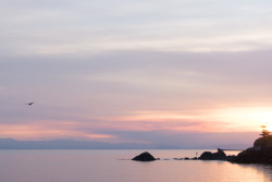 darkcoastphotography:  Untouched - An Unedited Sunset Series (XXXIV) Sooke, Vancouver Island, 2015 tumblr | flickr | facebook | society6 | instagram Do Not Remove My Credits 