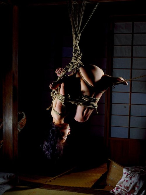 justscreenshots: Shibari Chimuo NurekiModel Tachikawa Photo Norio Sugiura