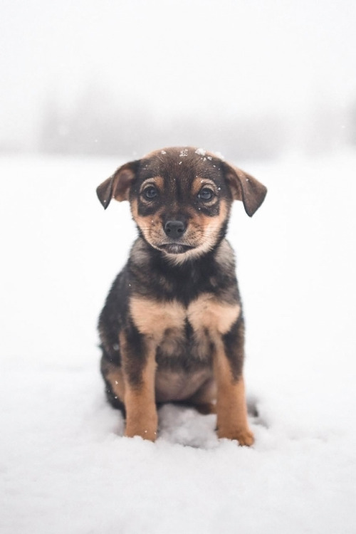 souhailbog:Wait By Zach Allia