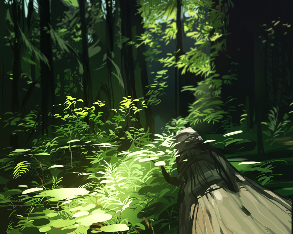 intindra:  This nature photography blog is wonderful for references 