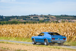 musclecarblog:Backyard by Attila-Le-Ain 