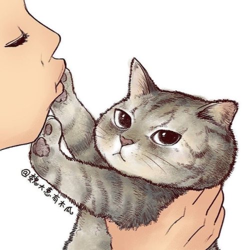 justcatposts: “Don’t kiss meow!”  (Source)
